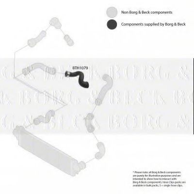 Патрубок наддува BORG & BECK BTH1079
