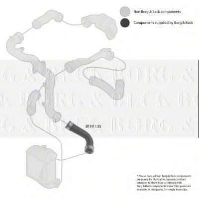 Патрубок наддува BORG & BECK BTH1135
