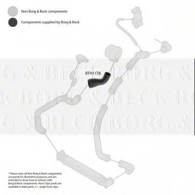 Патрубок наддува BORG & BECK BTH1178