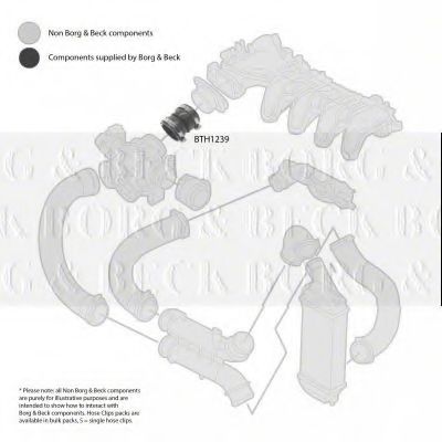 Патрубок наддува BORG & BECK BTH1239