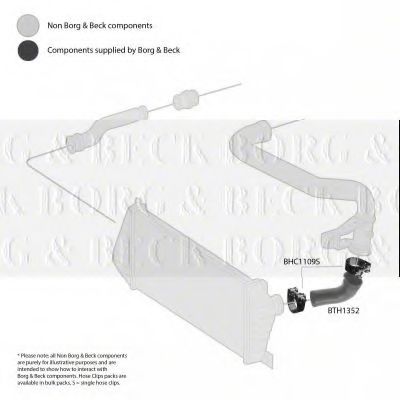 Патрубок наддува BORG & BECK BTH1352