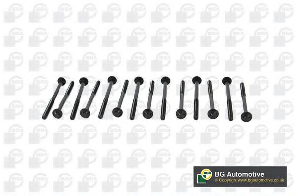 Комплект болтов головки цилидра BGA BK2305