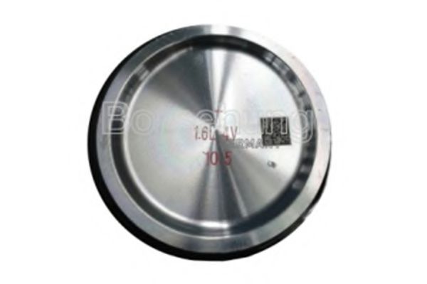 Поршень Borsehung B13576
