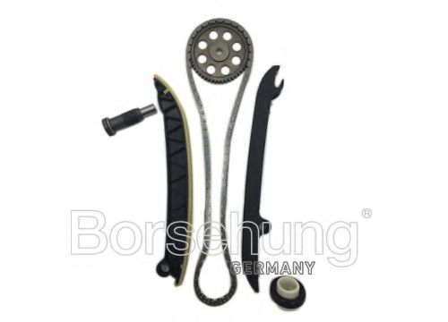 Цепь ГРМ, комплект Borsehung B16297