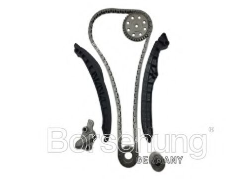 Цепь ГРМ, комплект Borsehung B16299