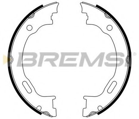 Тормозные колодки барабанные BREMSI GF0310