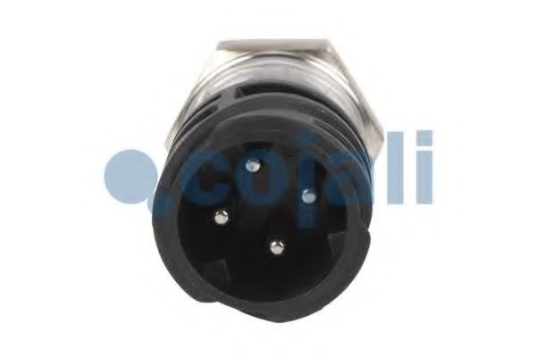 Датчик давления масла COJALI 2260262