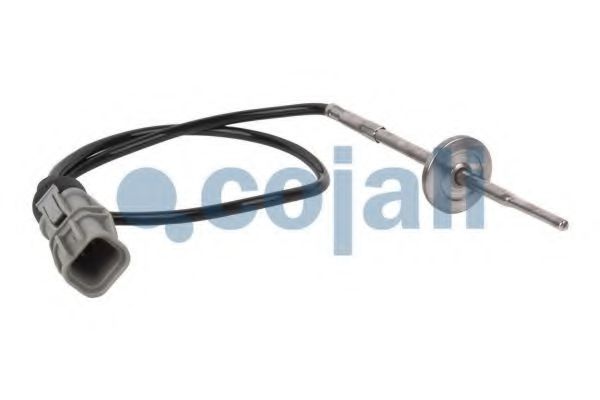Датчик, температура масла COJALI 2260399