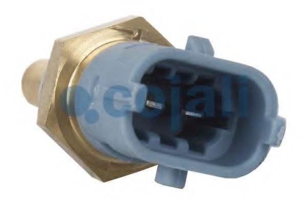 Датчик, температура масла COJALI 2260409