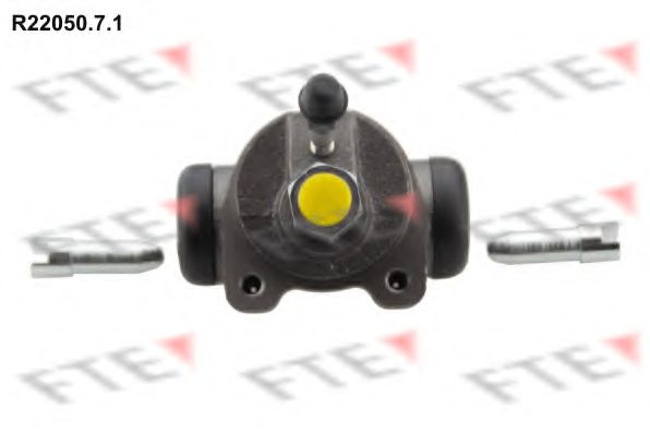 Рабочий тормозной цилиндр FTE R22050.7.1