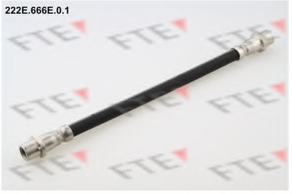 Тормозной шланг FTE 222E.666E.0.1