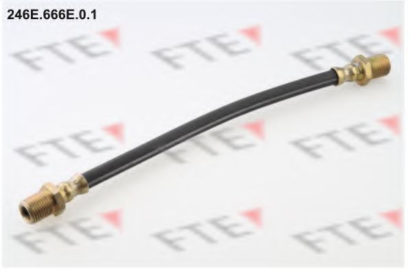 Тормозной шланг fte 246E.666E.0.1