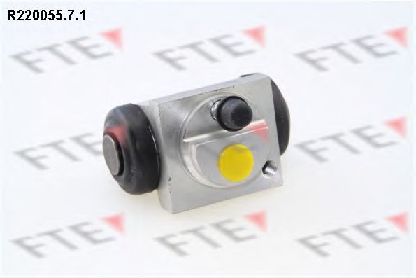 Рабочий тормозной цилиндр FTE R220055.7.1