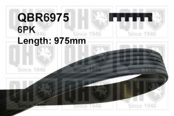 Поликлиновой ремень QUINTON HAZELL QBR6975