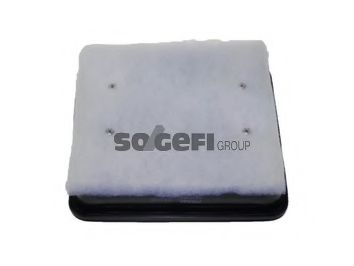 Воздушный фильтр FRAM CA10355