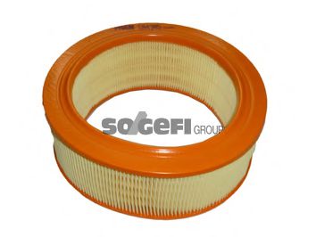 Воздушный фильтр FRAM CA4385