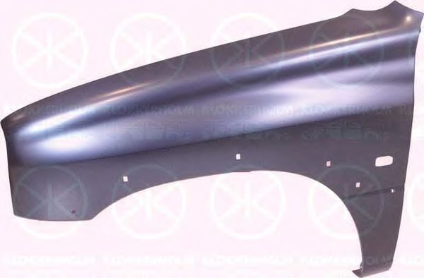 Крыло переднее SUZUKI 58611-65DC1