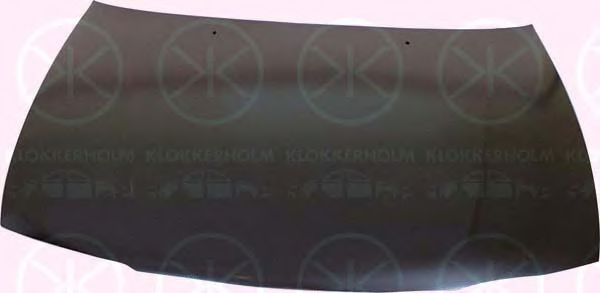 Капот Nissan/Infiniti F5100 1N0CE