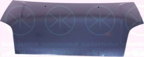 Капот FORD 1 143 983