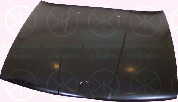 Капот BMW 41611944583