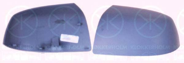 Корпус наружного зеркала FORD 1 255 997