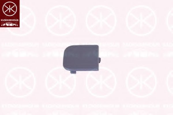 Крышка буксировочного крюка FORD 1 521 653