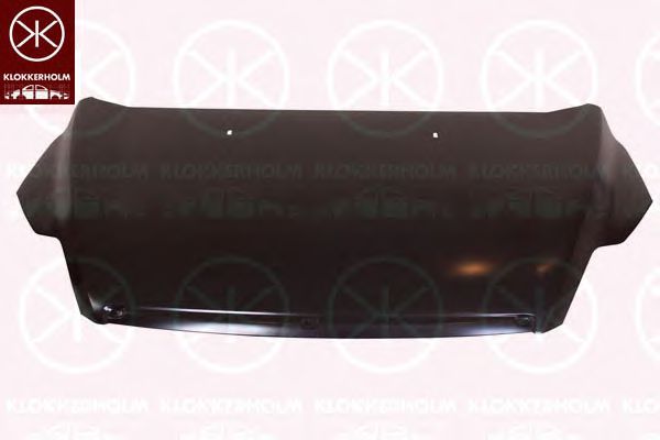 Капот FORD 1 521 601