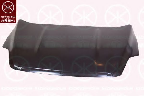 Капот FORD 1 718 513