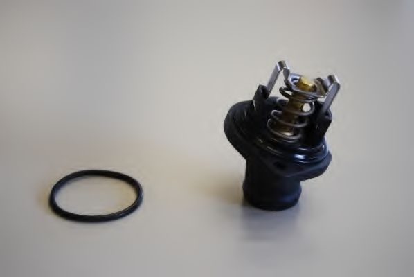 Термостат WAHLER 410989.80D