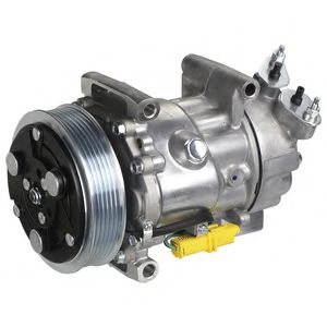 Компрессор кондиционера DELPHI TSP0159851