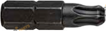Набор бит USH Industry TORX T30K x 25 мм BallEnd, 10 шт (UUSG0012998)
