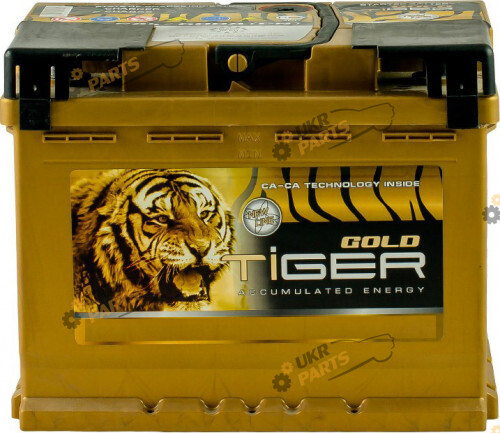 Автомобильный аккумулятор Tiger Gold 62 Ач (AFS062-G01)