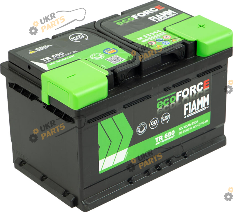 Автомобильный аккумулятор Fiamm ECOFORCE AFB START-STOP TR650 65 Ач (7906193)