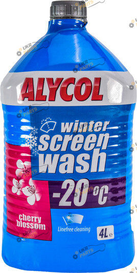 Жидкость омывателя готовая зимняя EVO Winter Cherry -20 °C 4 л (19003600)