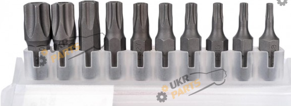 Набор бит JTC TORX TS08-TS50 с отверстием 10 шт (5362 JTC)