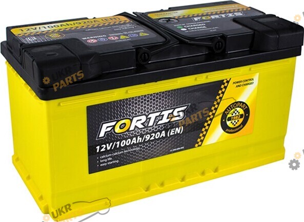Автомобильный аккумулятор Fortis (0) Euro 100 Ач (FRT100-00)