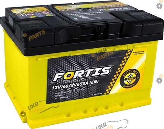 Автомобильный аккумулятор Fortis (0) Euro 66 Ач (FRT66-00)