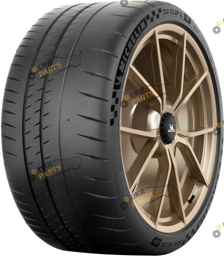 Шина Michelin Pilot Sport Cup 2 R (245/35 R20 95Y) летние (245/35R20 LOMI 95Y SC2RN0)