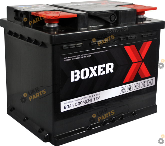 Автомобильный аккумулятор Boxer 60 Ач (555 81bx)