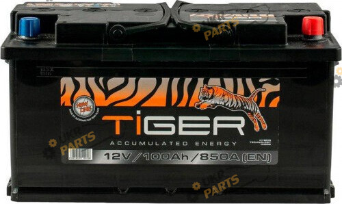 Автомобильный аккумулятор Tiger Euro 100 Ач (AFS100-00)