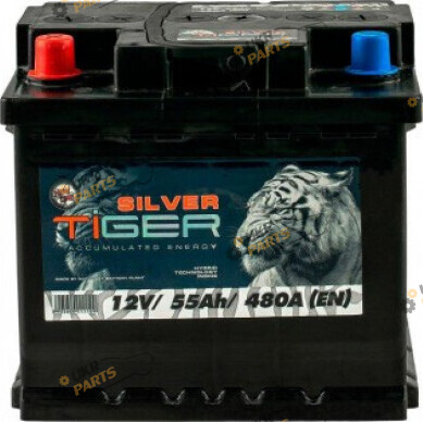 Автомобильный аккумулятор Tiger Silver 55 Ач (AFS055-S01)