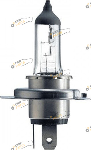 Галогеновая лампа Bosch Trucklight H4 1 шт (BO 1987302441)