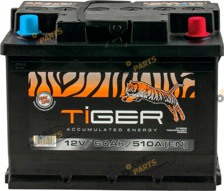 Автомобильный аккумулятор Tiger Euro 60 Ач (AFS060-00)