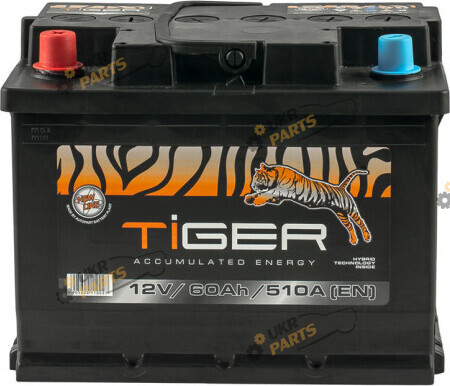Автомобильный аккумулятор Tiger 60 Ач (AFS060-01)