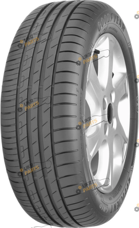 Шина Goodyear EfficientGrip Performance (205/55 R16 91V) летние (541403)