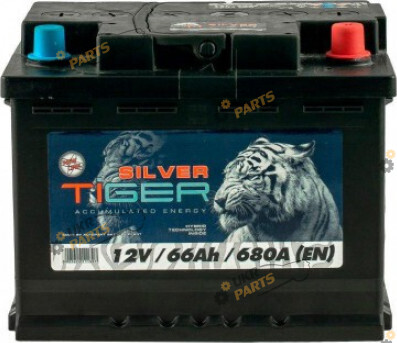 Автомобильный аккумулятор Tiger Silver Euro 66 Ач (AFS066-S00)