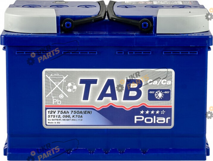 Автомобильный аккумулятор TAB Polar Blue (0) Euro 75 Ач (121 075)