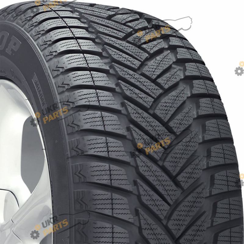 Шина Dunlop SP Sport 5000M M0 Germany 2022 (265/60 R18 110H) всесезонные
