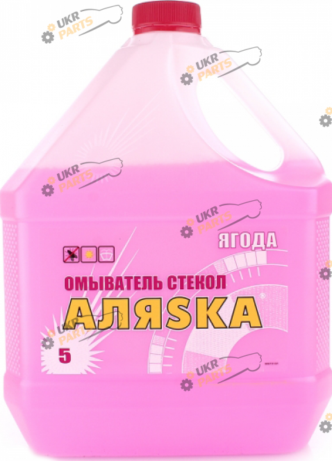 Жидкость омывателя концентрат летняя АЛЯSКА Ягода 5 л (999731)